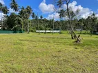 Kosgama 400 Perches Coconut Land Available For Sale