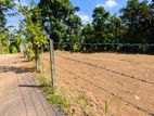 kosgama වෙල්යායකට මුහුණලා සුපිරි ඉඩමක් විකිණීමට