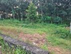 කොස්ගම Town හි වටිනා ඉඩමක් විකිණීමට / DM 13911