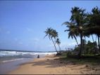 KOSGODA : 202.7 PERCHES PRIME BEACHFRONT LAND FOR SALE