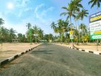 Kosgoda Land For Sale