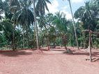 Kotadineyawa Land for Sale