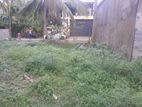 Kotikawaththa Land for Sale