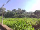 Kotikawatta Land for Sale