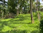 Kottawa 16 Perch Bare Land for Sale with Paddy Field Views