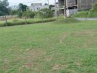Kottawa Best Valuable Land for Sale in Malabe Bus Road
