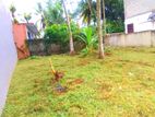 Kottawa Bogahawila Road 7 Perches Land For sale
