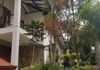 Kottawa Galawilawaththa 4BR Two Story House Rent - Ansicht 3
