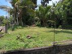 Kottawa Horahena Valuable Land for Sale