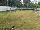Kottawa Land for Sale