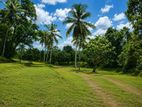 Kottawa Large Land with House