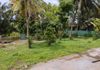 Kottawa Makubura 25 Perches Land Available For Lease - Ansicht 2