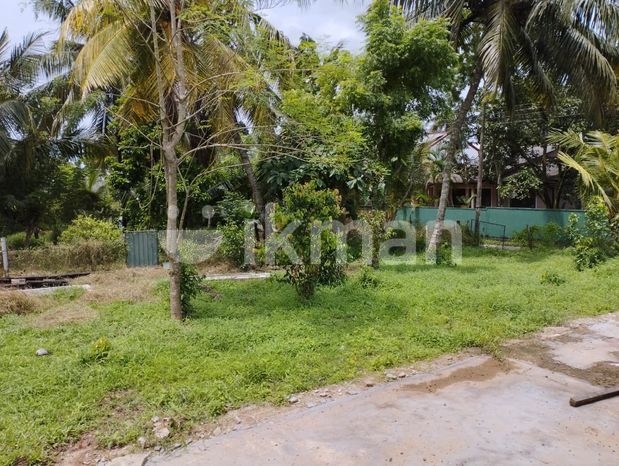 Kottawa Makubura 25 Perches Land Available For Lease, Colombo