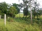 Kottawa Makubura Hiripitiya Road Land For Sale