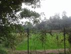 Kottawa Maththegoda Paddy Facing Land For Sale