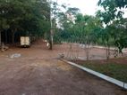 Kottawa Pinhena Land For Sale