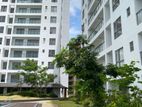 Kotte - Luxury Apartment for rent