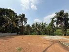 ​කොට්ටාව, මාකුඹුරෙන් බිම් කොටසක්