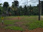 ​කොට්ටාව, මාකුඹුරෙන් ඉඩමක්
