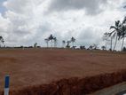 කොට්ටාව නගරයට ඉඩමක්