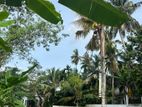 කොට්ටාව නගරයට ලඟින් ඉඩම් විකිණීමට