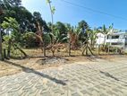 කොට්ටාව, පැලන්වත්ත පිහිටි ඉඩමක් විකිණීමට ඇත (ID : PELN001S)