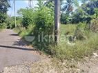කොට්ටාව පොල්ගස්ඕවිට ජාලියගමින් වටිනා පර්චස් 33ක ඉඩමක් විකිනීමට(kzmkeo2d)