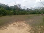 කොට්ටාව තලගල බස් පාරට 1.5km