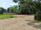 කොට්ටාවෙන් ඉඩම්ක් Land for Sale