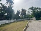 🏠 කොට්ටාවෙන් Luxury Living එකක්