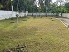 කොට්ටාවෙන් වටිනා ඉඩමක්