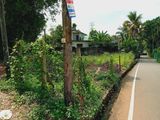 කොට්ටාවට පන්නිපිටියට ආසන්න පර්. 10.65ක්/Kottawa- Pannipitiya Land 10.65P