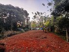 Kotugoda Land for Sale (SSPL-185)