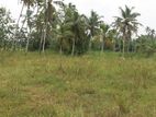 Kotugoda Minuwangoda main rd. land for sale warehouse factory yard