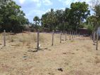 Land for Sale Kovilkukam