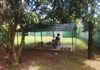 (KR870) House Ground Floor unit for Rent in Katunayake – pohled 5