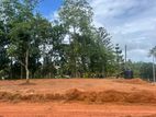 කරාපිටිය රෝහලට ලගින්ම අගනා බිම් කොටස්