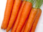 carrot