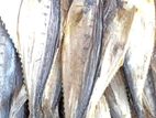 Dried Fish