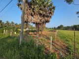 கரவெட்டியில் வீடு / கடை கட்ட ஏற்ற 5 பரப்புக் காணி விற்பனைக்கு