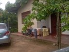 (KSR-558) VALUABLE HOUSE RENT IN HOMAGAMA