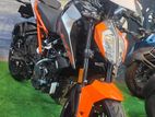 KTM Duke 2026