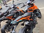 KTM Duke 2026