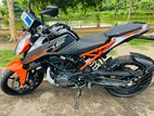 KTM Duke 2026