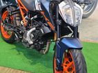 KTM Duke 2026