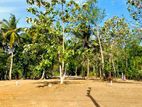 කතරගම ලුණුගම්වෙහෙර ප්‍රධාන මාර්ගයට මුහුණලා ඉඩමක්