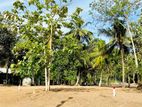 කතරගම පූජා නගරය සමීපයෙන්ම සින්නක්කර ඉඩමක්