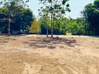 කතරගම රජ මාවතට මුහුණා සින්නක්කර බිම් කොටස්