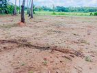 කටුකැලියාවෙන් සින්නක්කර ඉඩමක් විකිණීමට