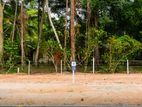 කටුනායක අධිවේගී පිවිසුමට ලගින්ම අගනා බිම් කොටස් කිඹුලාපිටිය